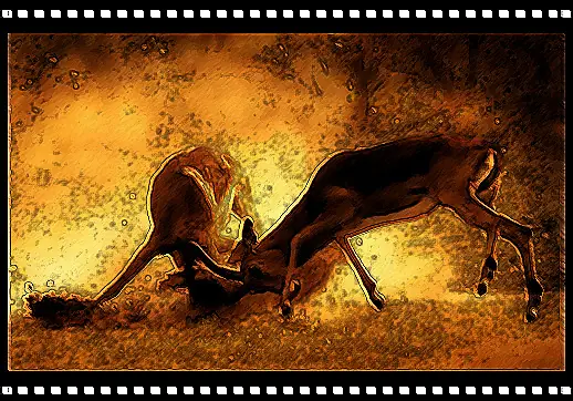 salvajes