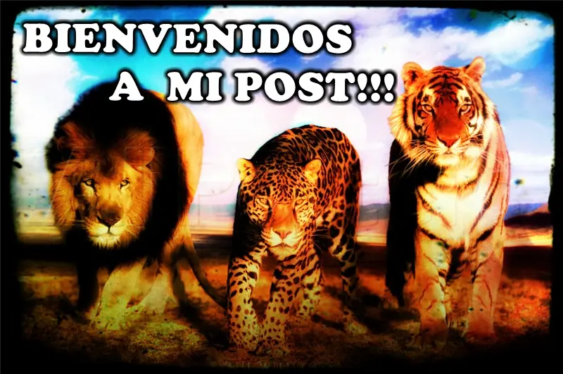 Luchas de Animales Salvajes en su máxima expresión - RnpA