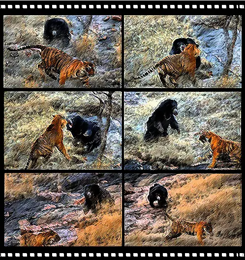Peleas