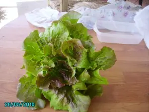 pimientos