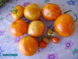 Mi huerto casero