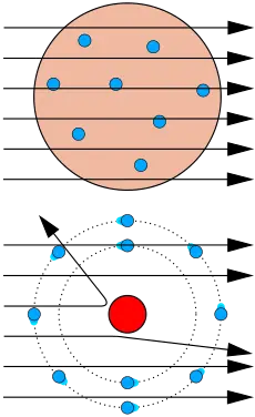 Particula