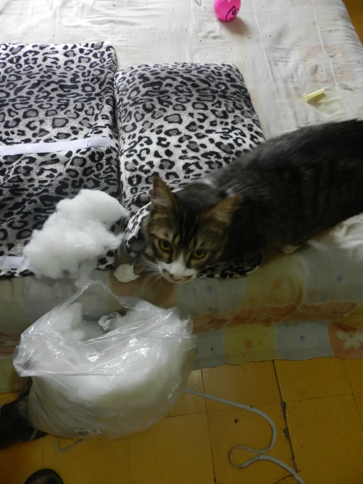 habitat para gato