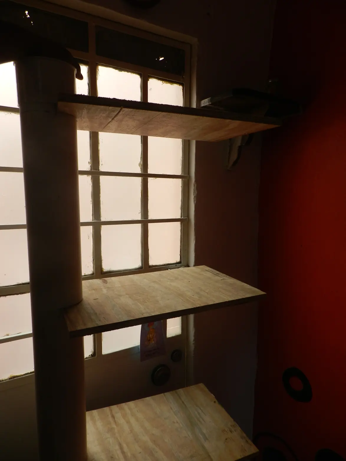 habitat para gato