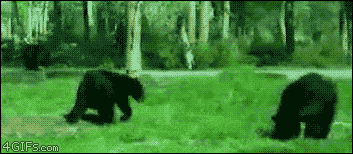 Gifs, seguro te reiras.