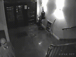 gifs animados