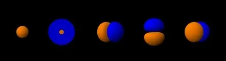 nucleo