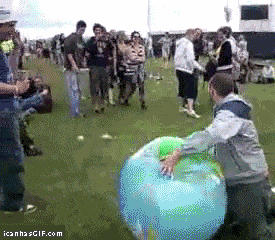 Gifs, seguro te reiras.