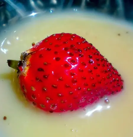 Fabrique la deliciosa leche condensada