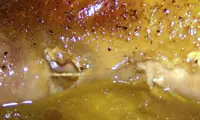 5 recetas alemanas para acompañar con una buena cerveza...
