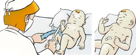 Como