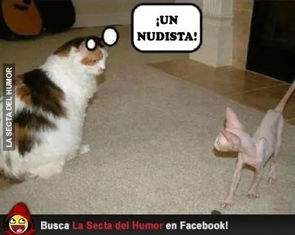frases