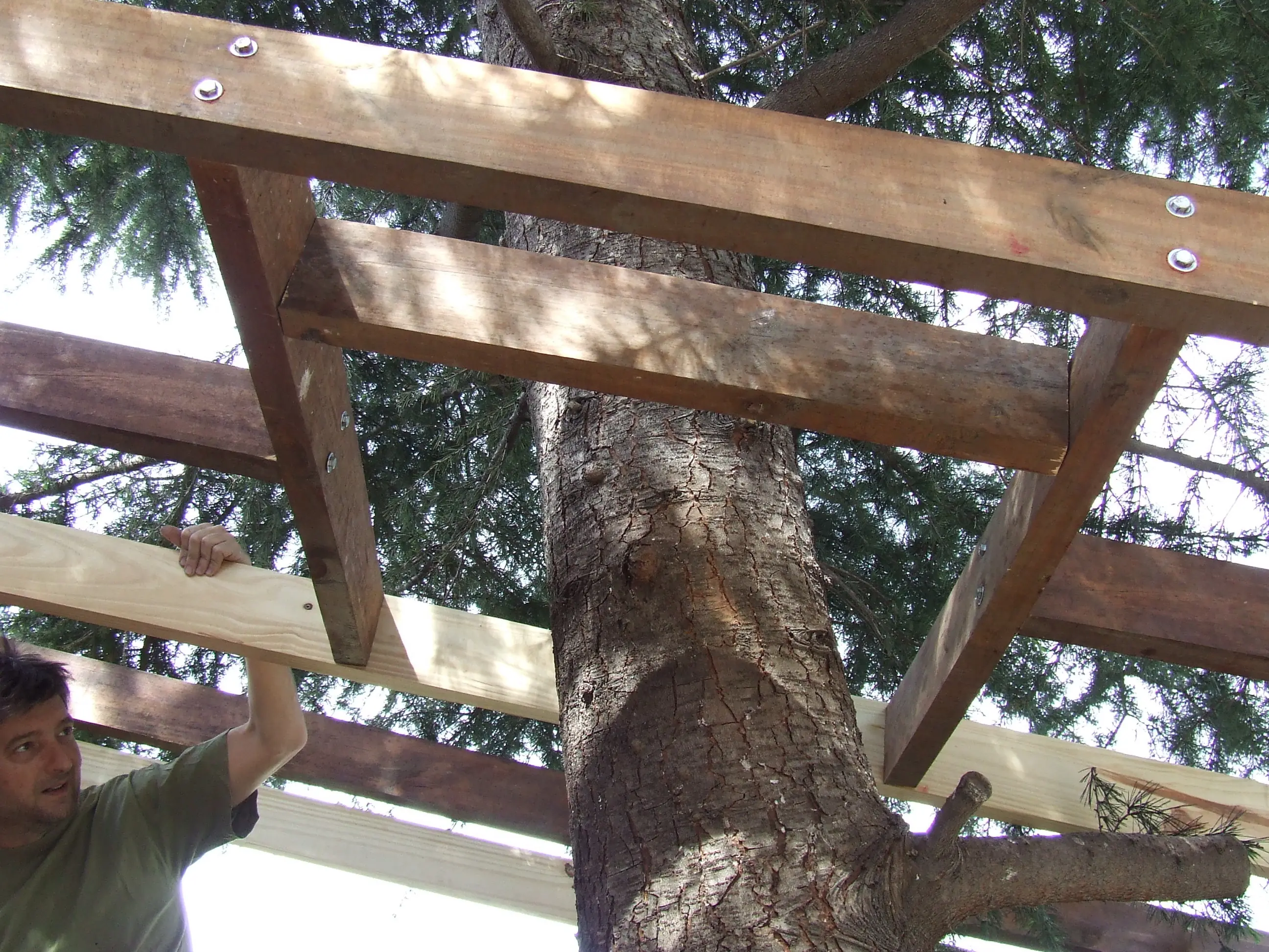 madera