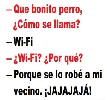 pensamientos
