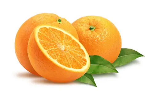 alimentos