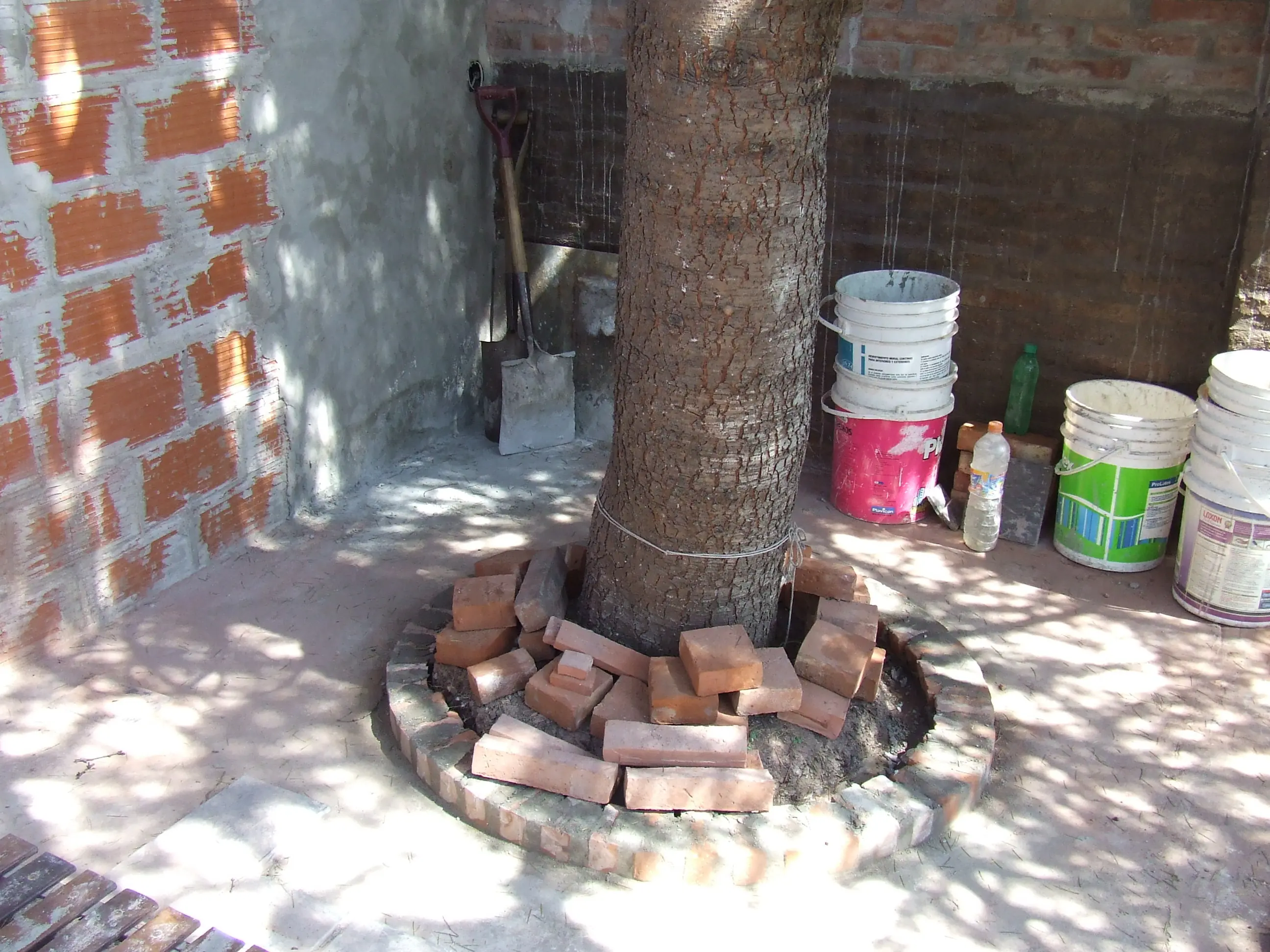 madera