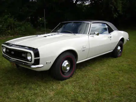 mustang