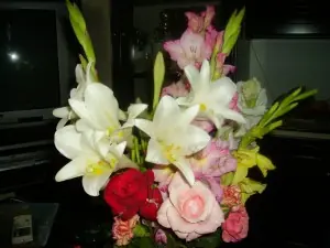 Flores y plantas de mi huerto