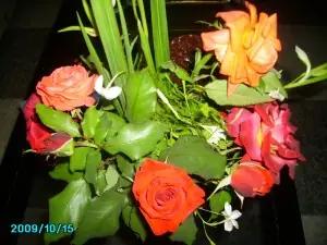 rosas