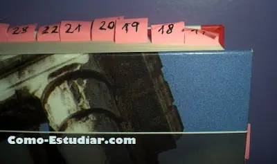 estudia como campeon