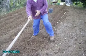 huerto casero