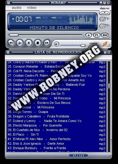 Reproductor Flash Tipo Winamp