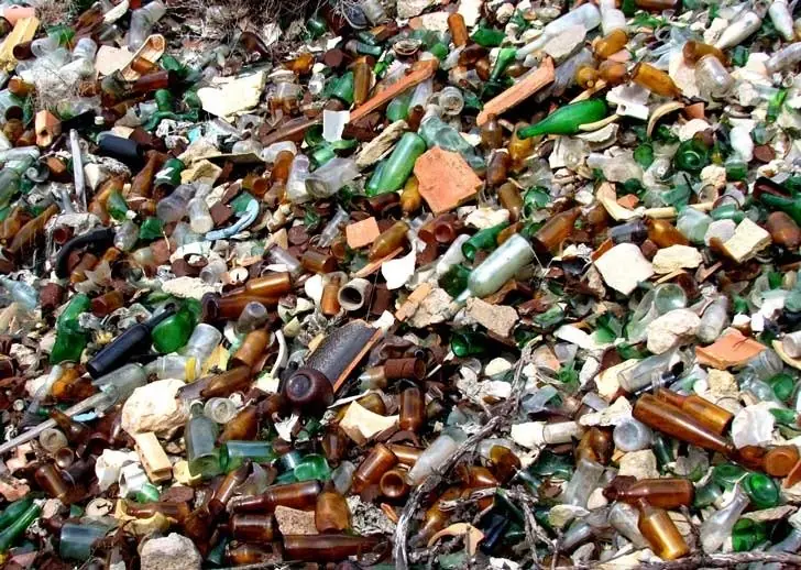 ecologia