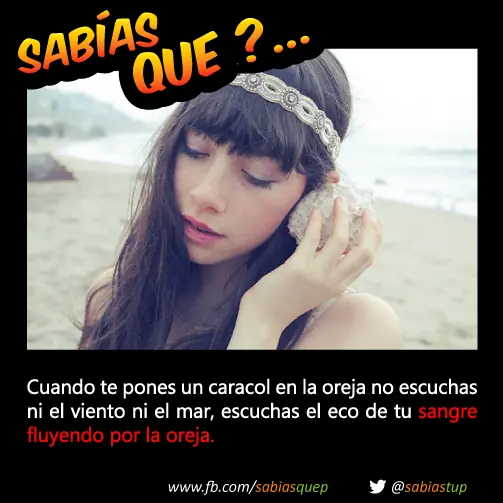 probabilidad