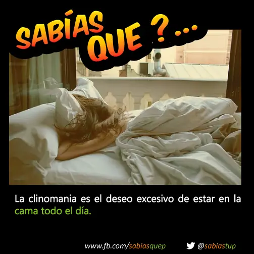 +1 Por cada curiosidad que probablemente tu desconocias