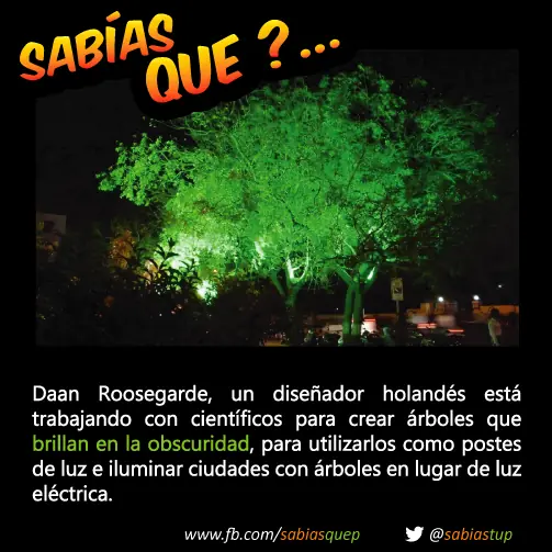 curiosidades