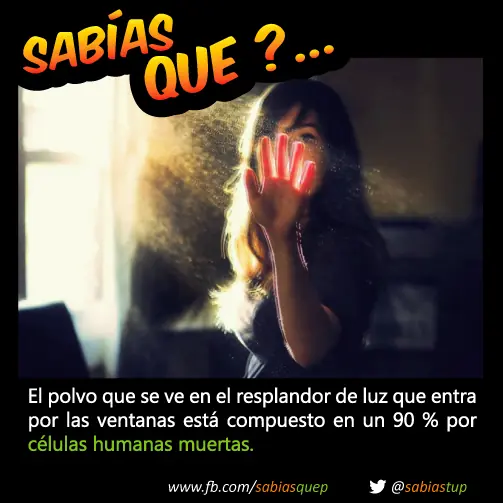 probabilidad
