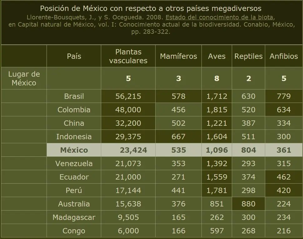 mejico