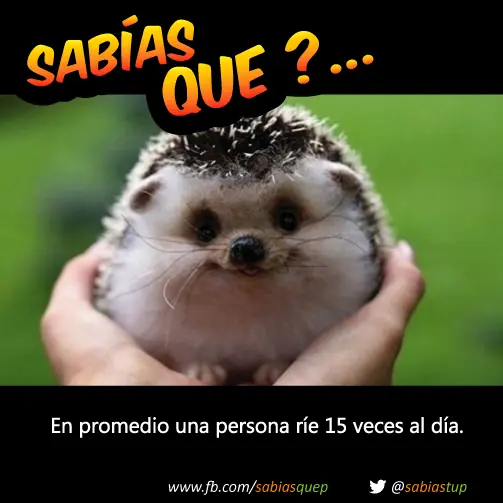 +1 Por cada curiosidad que probablemente tu desconocias