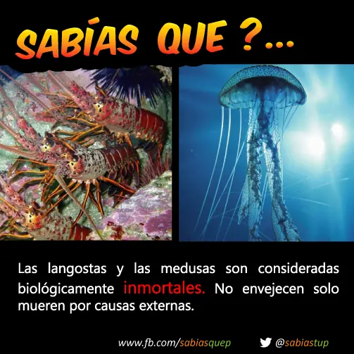 probabilidad