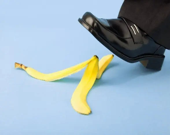 Las investigaciones más absurdas del 2014