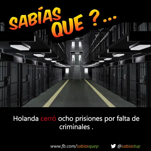 +1 Por cada curiosidad que probablemente tu desconocias