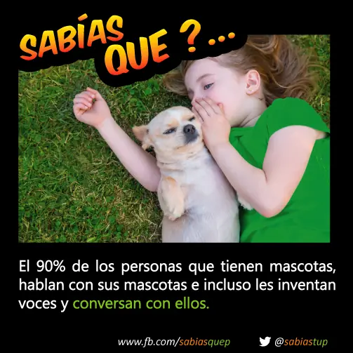 curiosidades