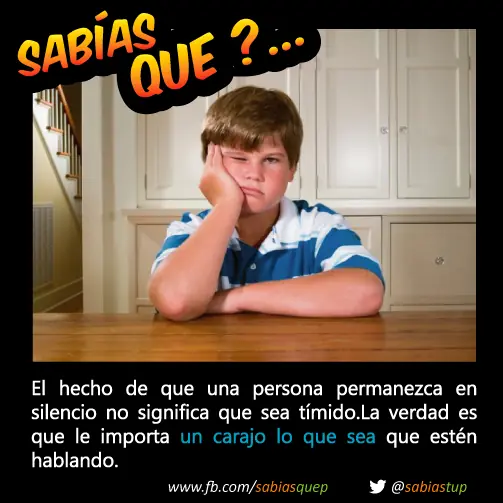 +1 Por cada curiosidad que probablemente tu desconocias