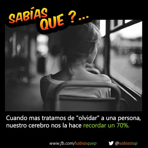 curiosidades