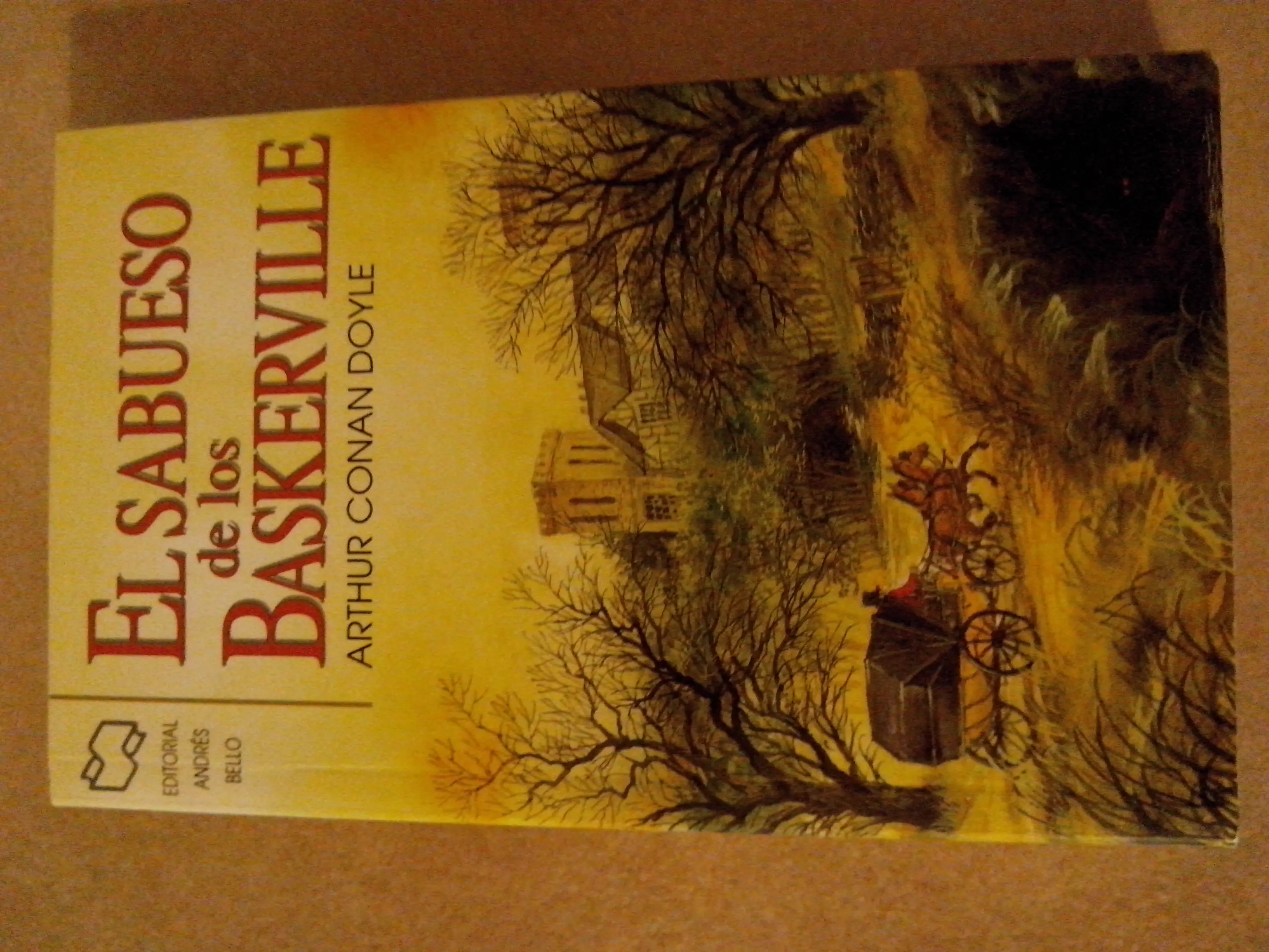 10 recomendaciones