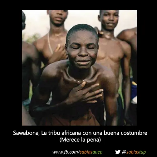 curiosidades