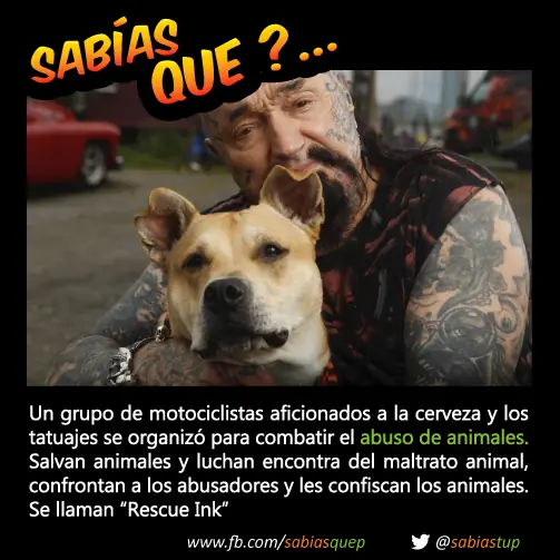 probabilidad