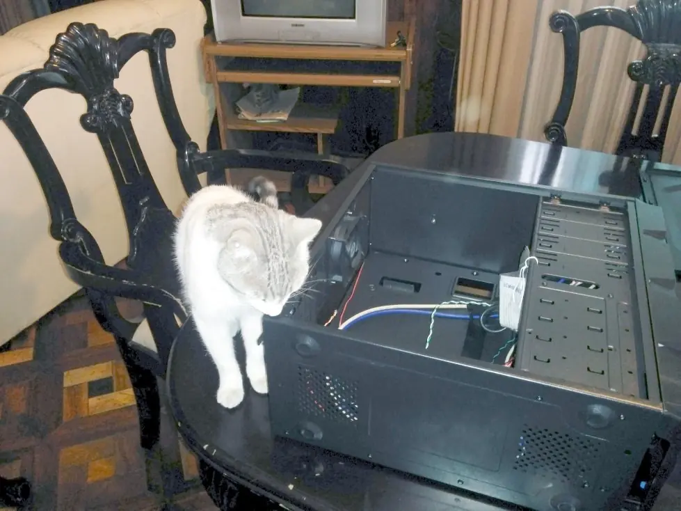 gata