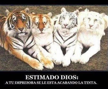 gran