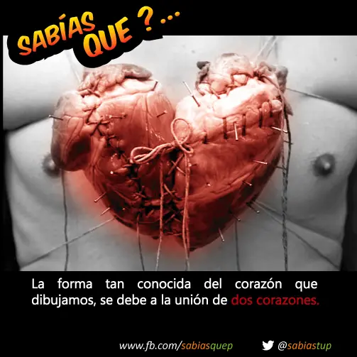 probabilidad