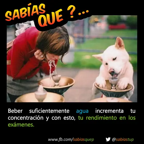 probabilidad