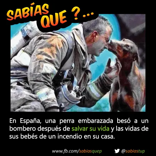 probabilidad