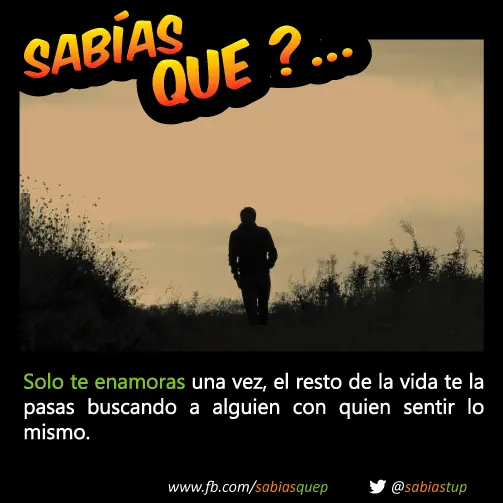 +1 Por cada curiosidad que probablemente tu desconocias