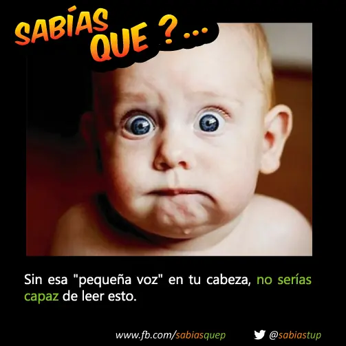 +1 Por cada curiosidad que probablemente tu desconocias