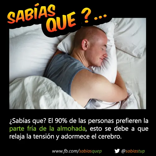 +1 Por cada curiosidad que probablemente tu desconocias
